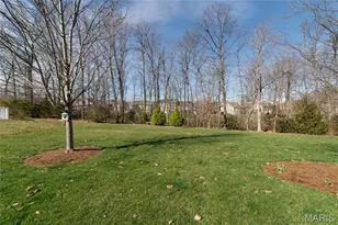 249 Lonepine Dr, Wentzville, MO 63385 - Photo 39