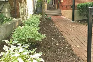 1902 Lasalle St, Saint Louis, MO 63104 - Photo 31