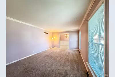 54 Fairview Drive, Hillsboro, MO 63050 - Photo 3