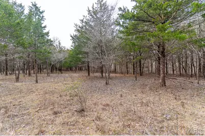 10135 Oakland Drive, Cadet, MO 63630 - Photo 17