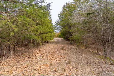 10135 Oakland Drive, Cadet, MO 63630 - Photo 31