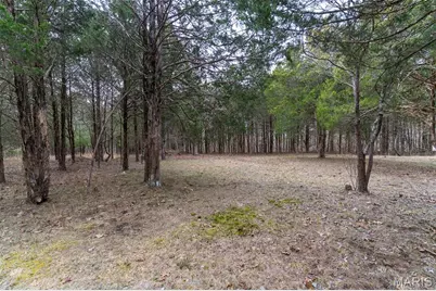 10135 Oakland Drive, Cadet, MO 63630 - Photo 23