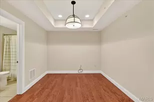 123 W Bodley Ave, Kirkwood, MO 63122 - Photo 21