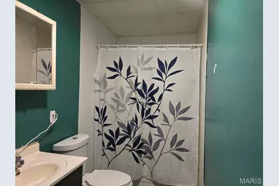 21850 S Sue Drive, Malden, MO 63863 - Photo 15