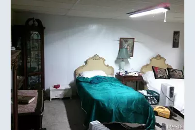 1559 Berry Dairy Road, De Soto, MO 63020 - Photo 29