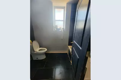 4258 East St Louis Avenue, Saint Louis, MO 63115 - Photo 19