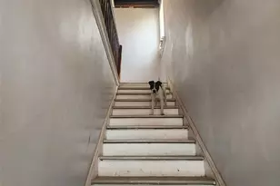 4258 East St Louis Ave, Saint Louis, MO 63115 - Photo 7