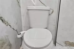 4140 Burgen Ave, Saint Louis, MO 63116 - Photo 55