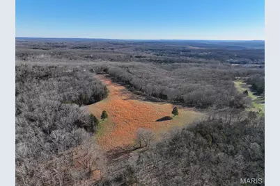 0 Scanlon Drive, De Soto, MO 63020 - Photo 3