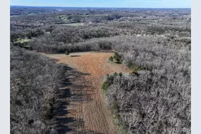 0 Scanlon Drive, De Soto, MO 63020 - Photo 11