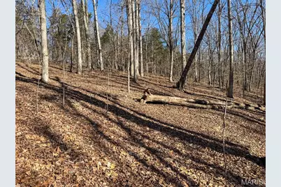 0 Scanlon Drive, De Soto, MO 63020 - Photo 29