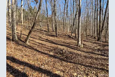 0 Scanlon Drive, De Soto, MO 63020 - Photo 31