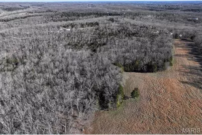 0 Scanlon Drive, De Soto, MO 63020 - Photo 5