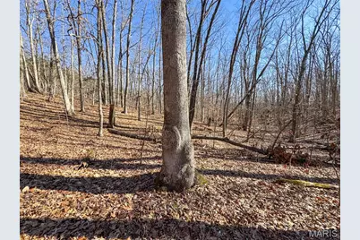 0 Scanlon Drive, De Soto, MO 63020 - Photo 33