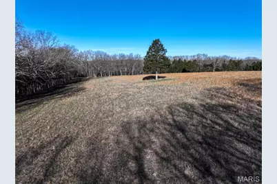 0 Scanlon Drive, De Soto, MO 63020 - Photo 17