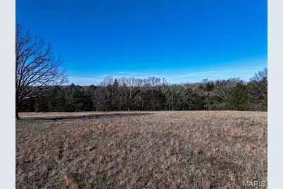 0 Scanlon Drive, De Soto, MO 63020 - Photo 13