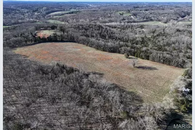 0 Scanlon Drive, De Soto, MO 63020 - Photo 11