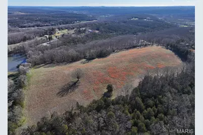 0 Scanlon Drive, De Soto, MO 63020 - Photo 3