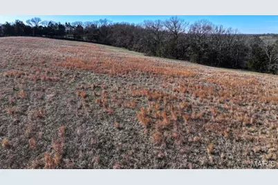 0 Scanlon Drive, De Soto, MO 63020 - Photo 15