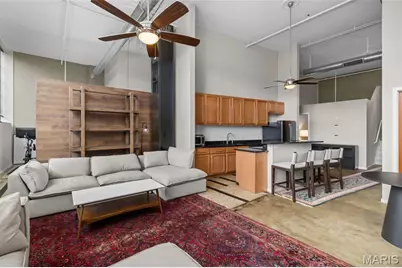 1720 Chouteau Avenue #102, Saint Louis, MO 63103 - Photo 5