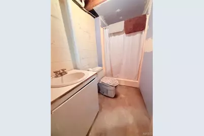 194 Craft Subdivision, Greendale, MO 63944 - Photo 39