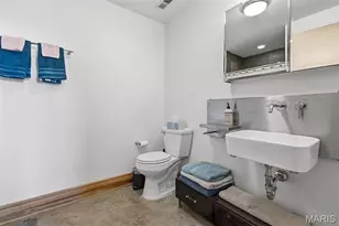 411 N 22nd St, Saint Louis, MO 63103 - Photo 13