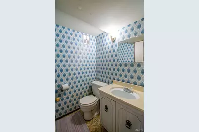 11648 Villa Dorado Drive, Saint Louis, MO 63146 - Photo 39