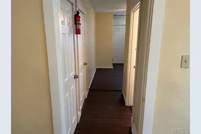 919 S Boyle Avenue, Saint Louis, MO 63110 - Photo 25