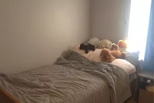 223 Settlers Pass, Waynesville, MO 65583 - Photo 31