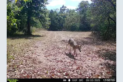 000 Hollingshead, Leasburg, MO 65453 - Photo 15