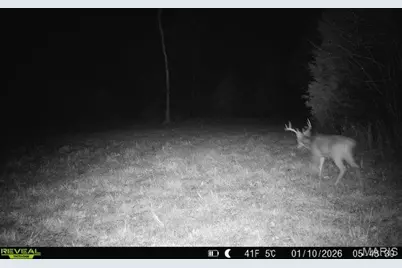 000 Hollingshead, Leasburg, MO 65453 - Photo 9