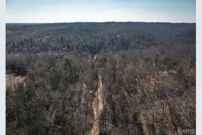 000 Hollingshead, Leasburg, MO 65453 - Photo 3