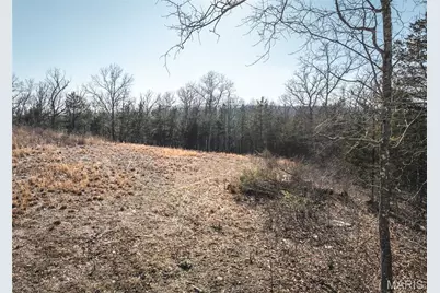 000 Hollingshead, Leasburg, MO 65453 - Photo 43