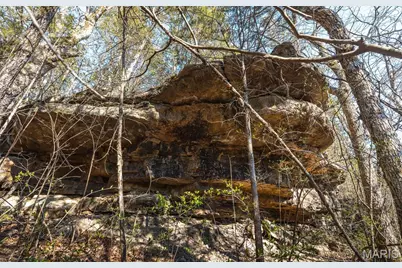 000 Hollingshead, Leasburg, MO 65453 - Photo 13