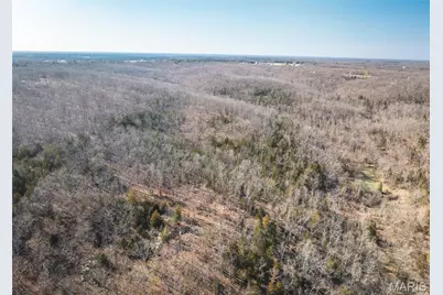 000 Hollingshead, Leasburg, MO 65453 - Photo 31