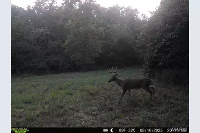 000 Hollingshead, Leasburg, MO 65453 - Photo 51