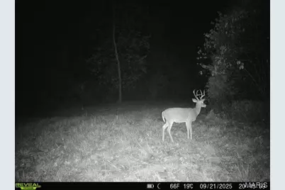 000 Hollingshead, Leasburg, MO 65453 - Photo 23