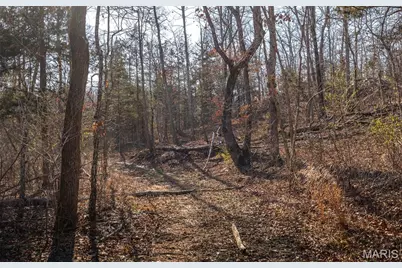 000 Hollingshead, Leasburg, MO 65453 - Photo 45