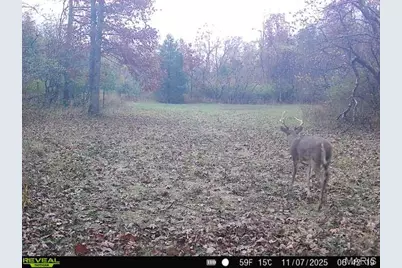 000 Hollingshead, Leasburg, MO 65453 - Photo 35