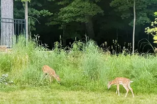 1647 Ridgefield Blf Ct, Eureka, MO 63025 - Photo 17