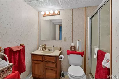 11525 Francetta Lane, Spanish Lake, MO 63138 - Photo 27