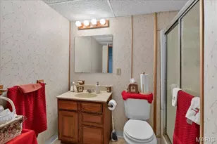 11525 Francetta Ln, Spanish Lake, MO 63138 - Photo 27