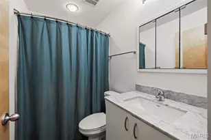 4254 McRee Ave, Saint Louis, MO 63110 - Photo 21
