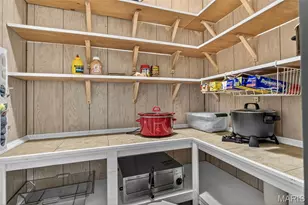 434 Rue Martel, Bonne Terre, MO 63628 - Photo 31