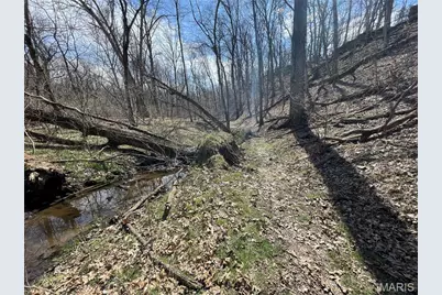 2107 Meadow Oaks Drive, Innsbrook, MO 63390 - Photo 9