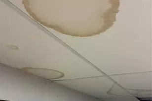 9740 Ridgecrest Dr, Hillsboro, MO 63050 - Photo 45