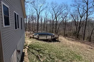 719 White Dogwood Ct, Saint Clair, MO 63077 - Photo 49