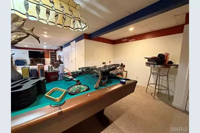 719 White Dogwood Court, Saint Clair, MO 63077 - Photo 39