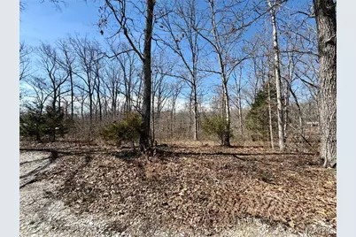 719 White Dogwood Court, Saint Clair, MO 63077 - Photo 61