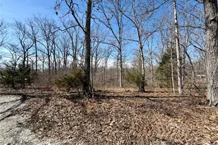 719 White Dogwood Ct, Saint Clair, MO 63077 - Photo 61